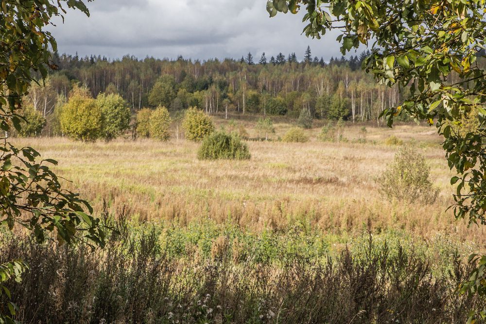 последний теплый день