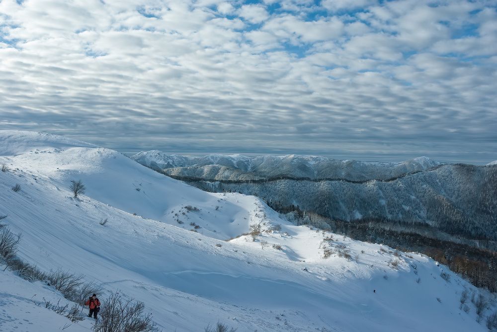 Фотография автора Сергей Павлов