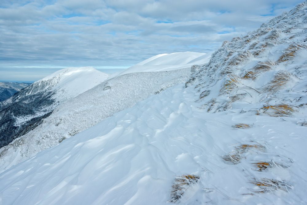 Фотография автора Сергей Павлов