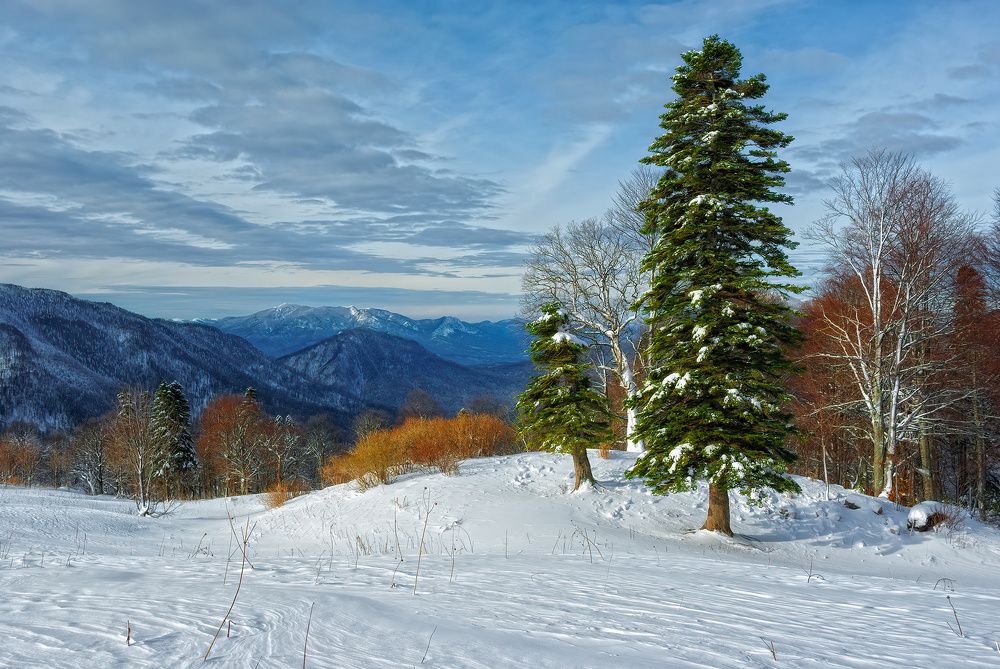 Фотография автора Сергей Павлов