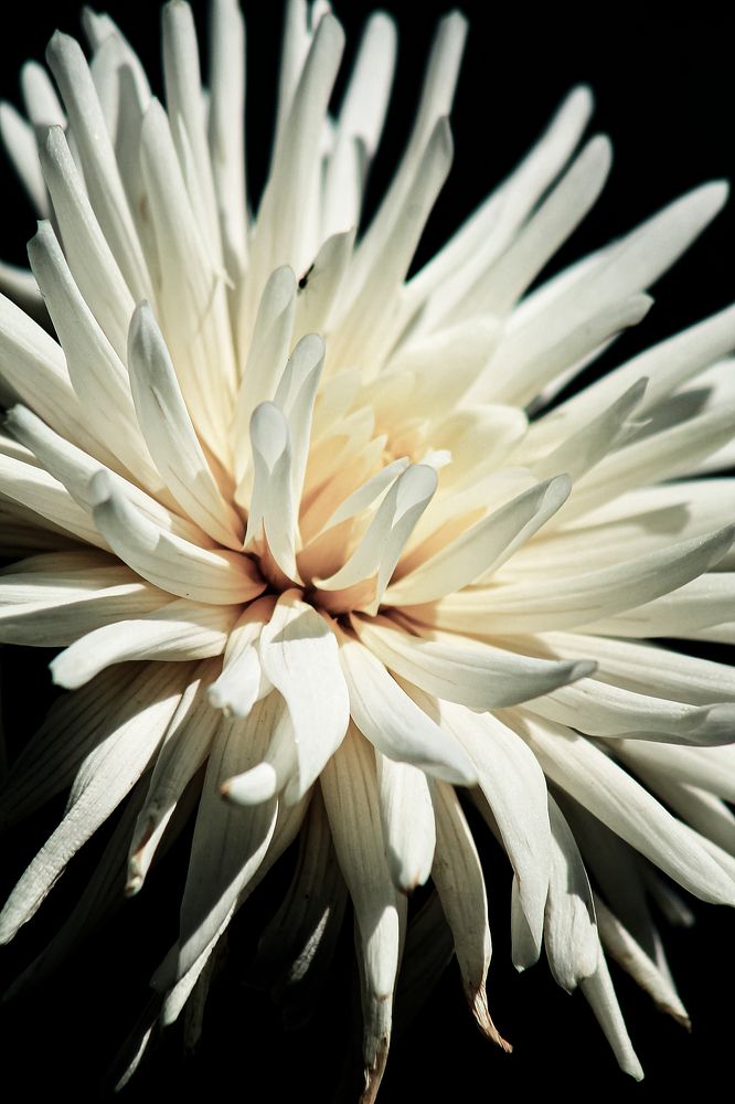 Photograph by Диана Ульянцева