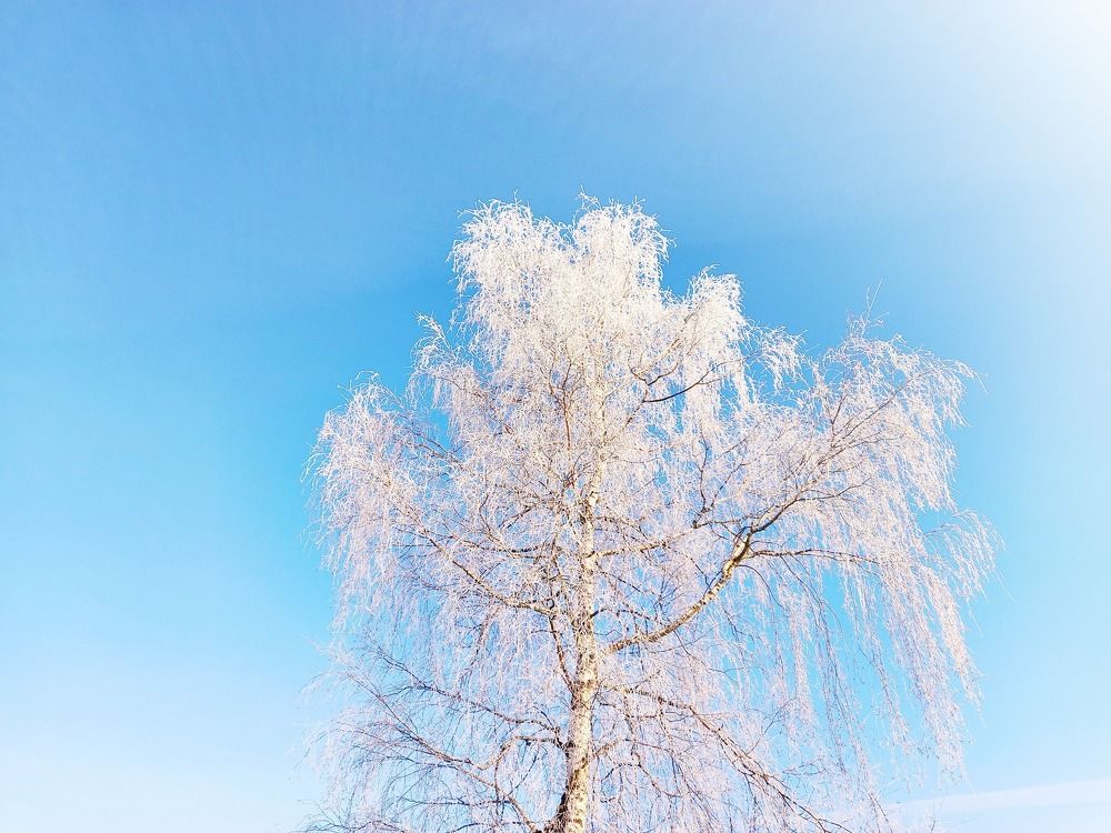 Photograph by Екатерина Морозова