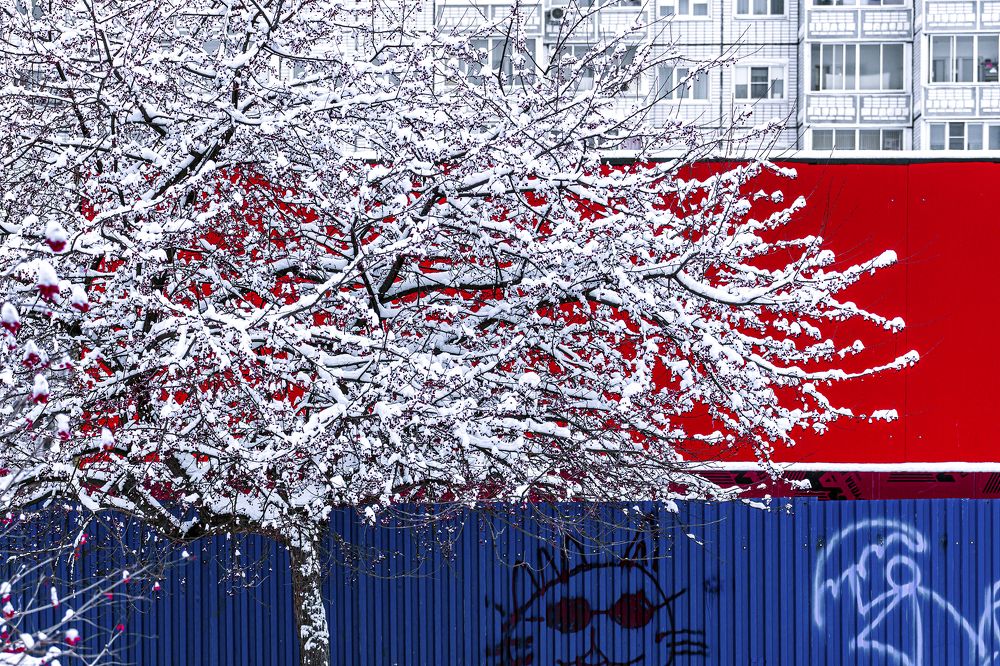 Photograph by Инесса Абрамова