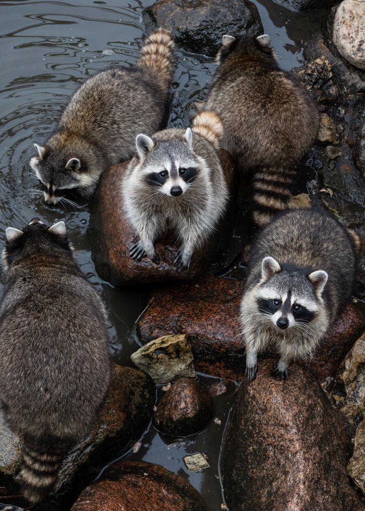 Photograph by Алексей Крукович