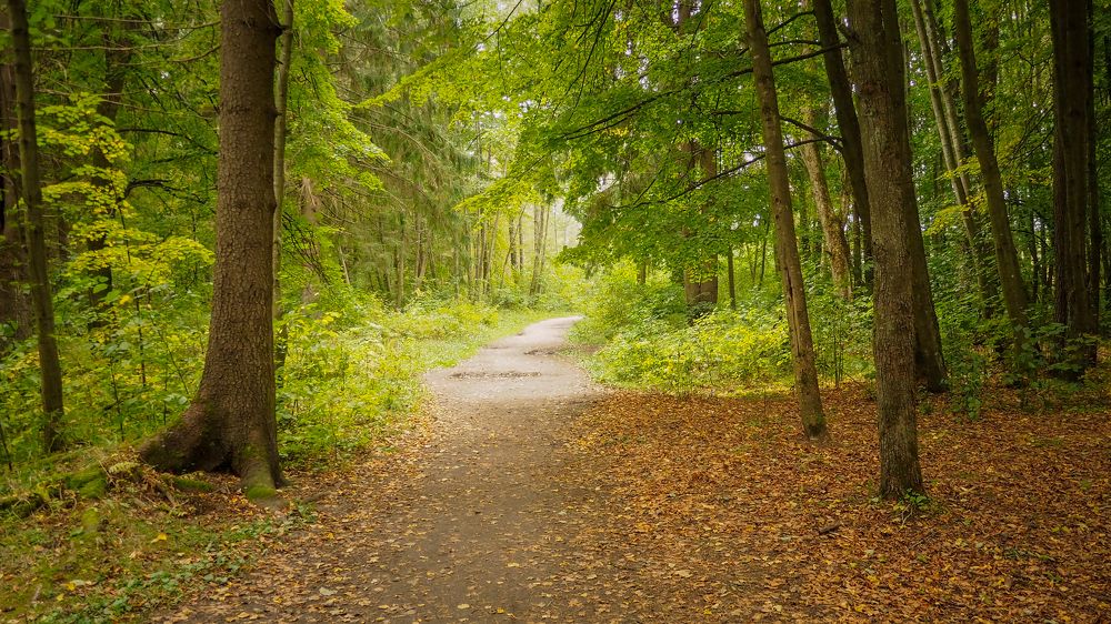 Фотография автора Boris Yakovlev