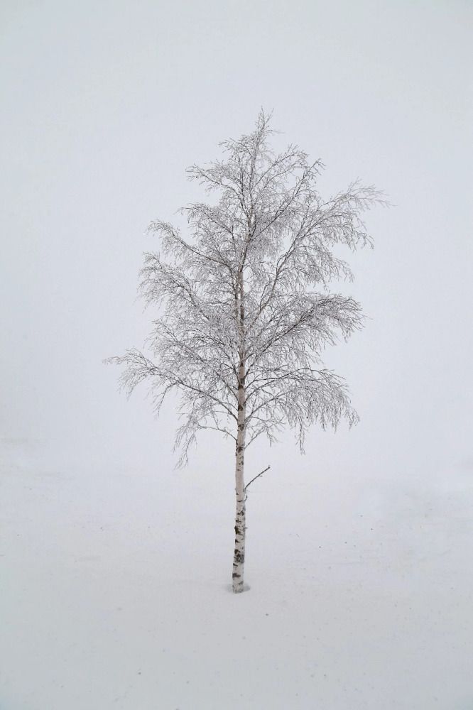 Photograph by Владимир Микрокосмос