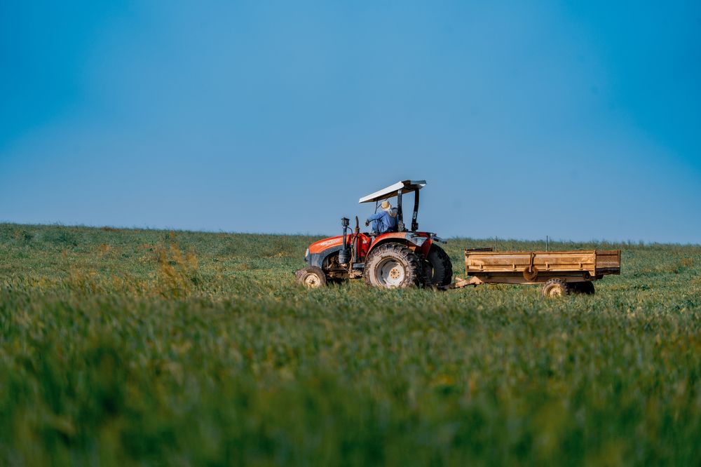 Photograph by Suneer S Subair