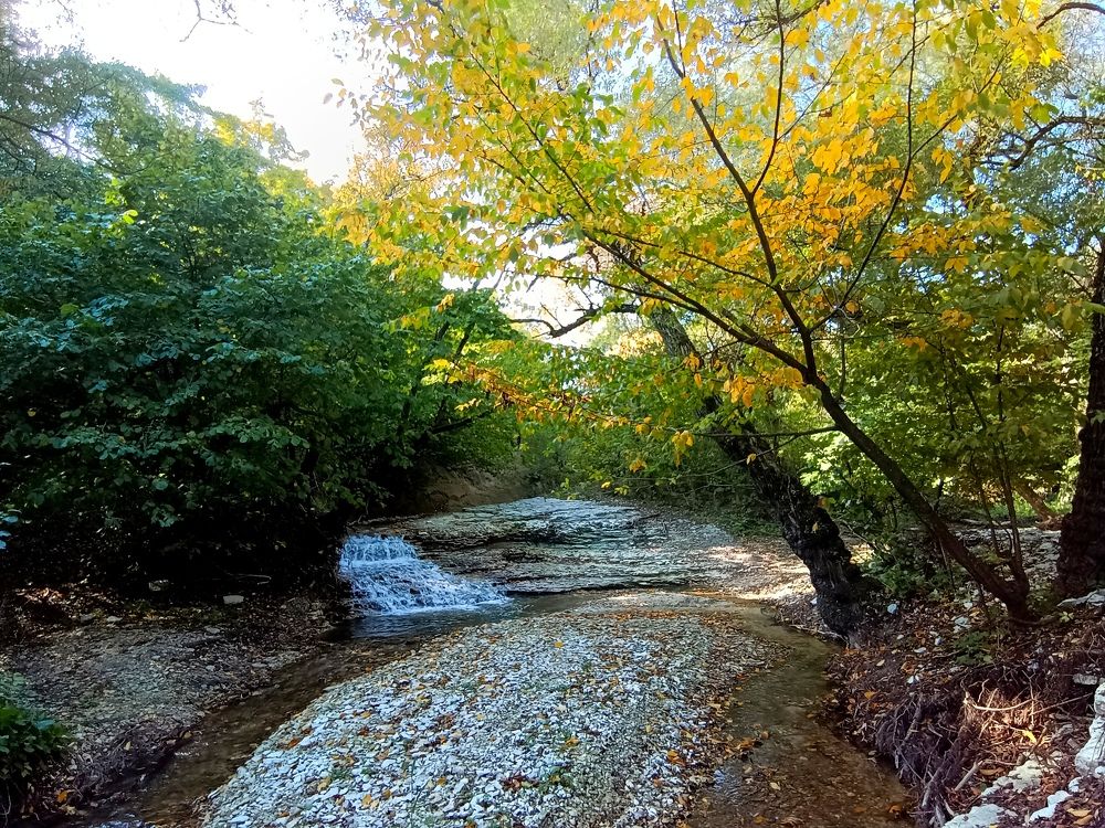 Photograph by Александр Глебов