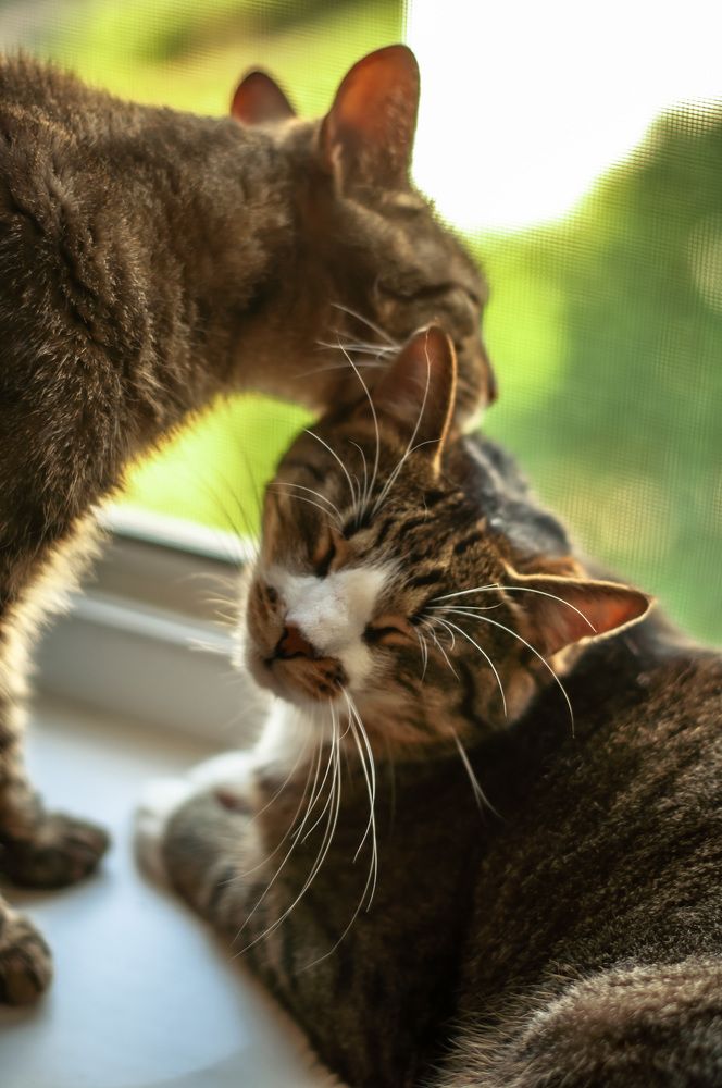 Photograph by Виктория Павлюк