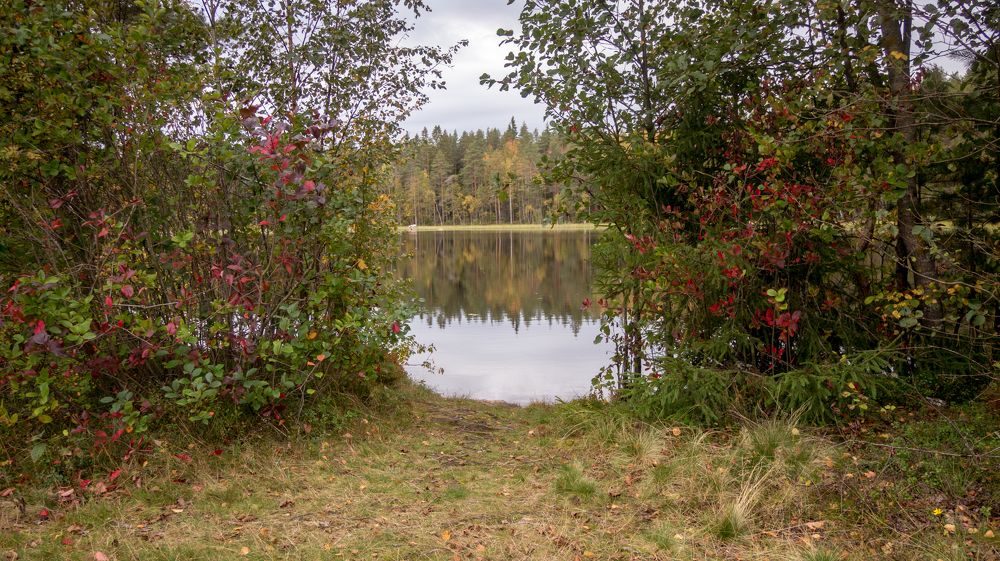 Фотография автора Boris Yakovlev