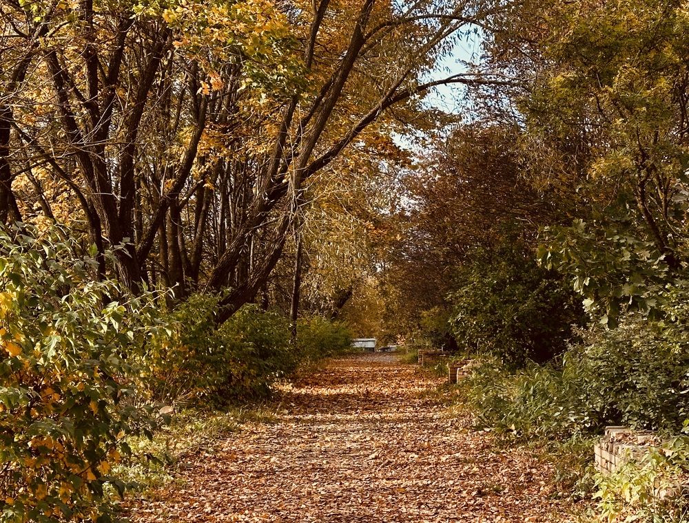 Photograph by Наталья Сережко