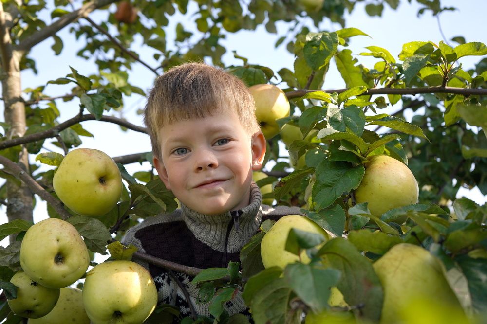 Photograph by Елена Копейкина