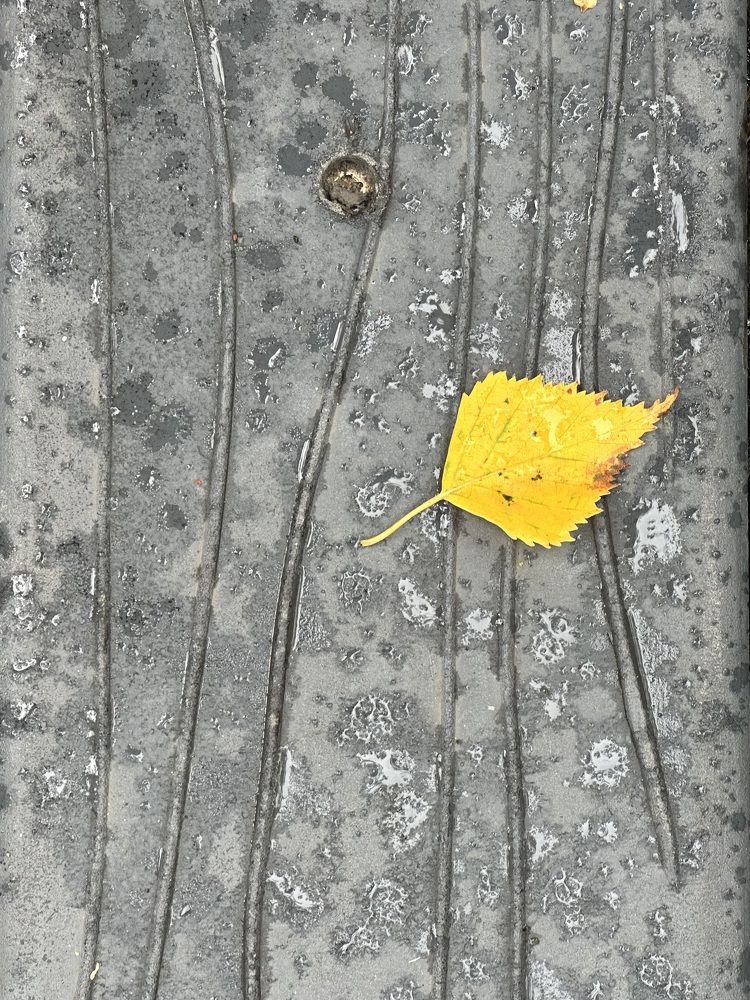 Photograph by Наталья Сережко