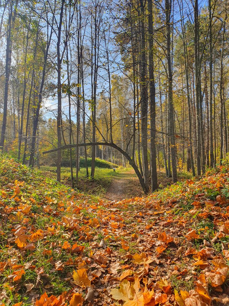 Photograph by Олег Титкин