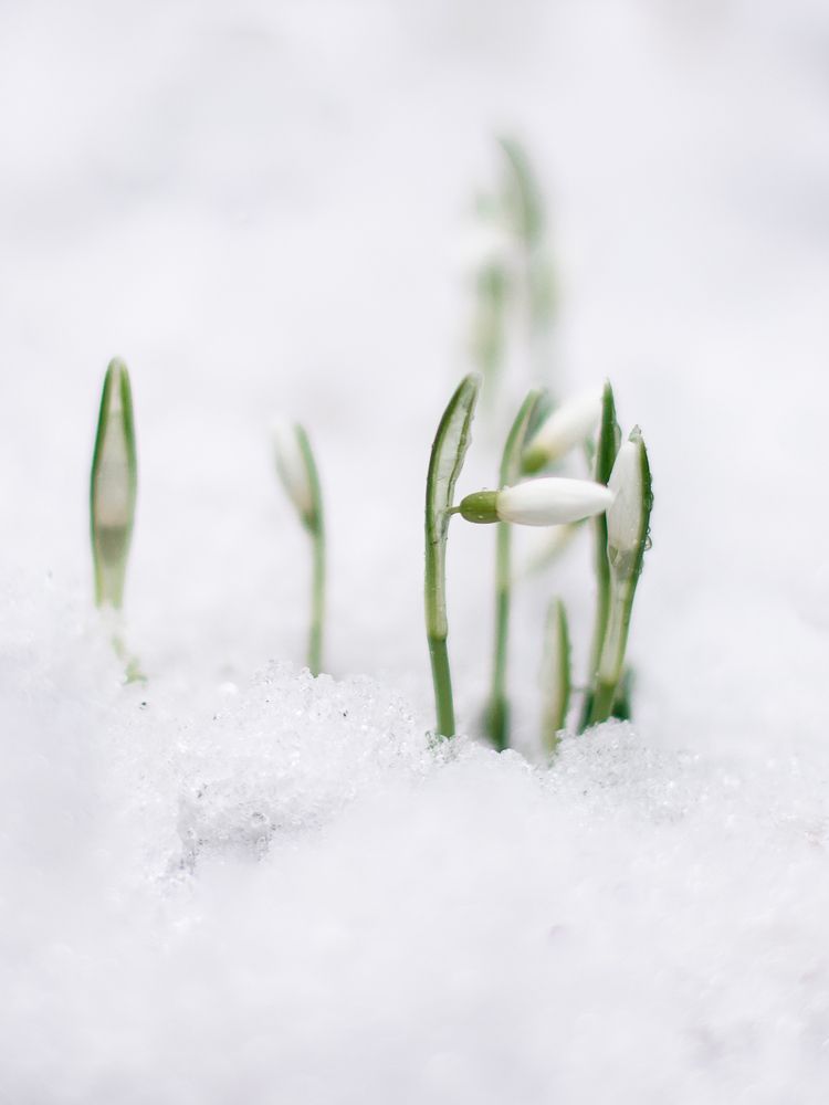 Photograph by Наталья Брюхненко