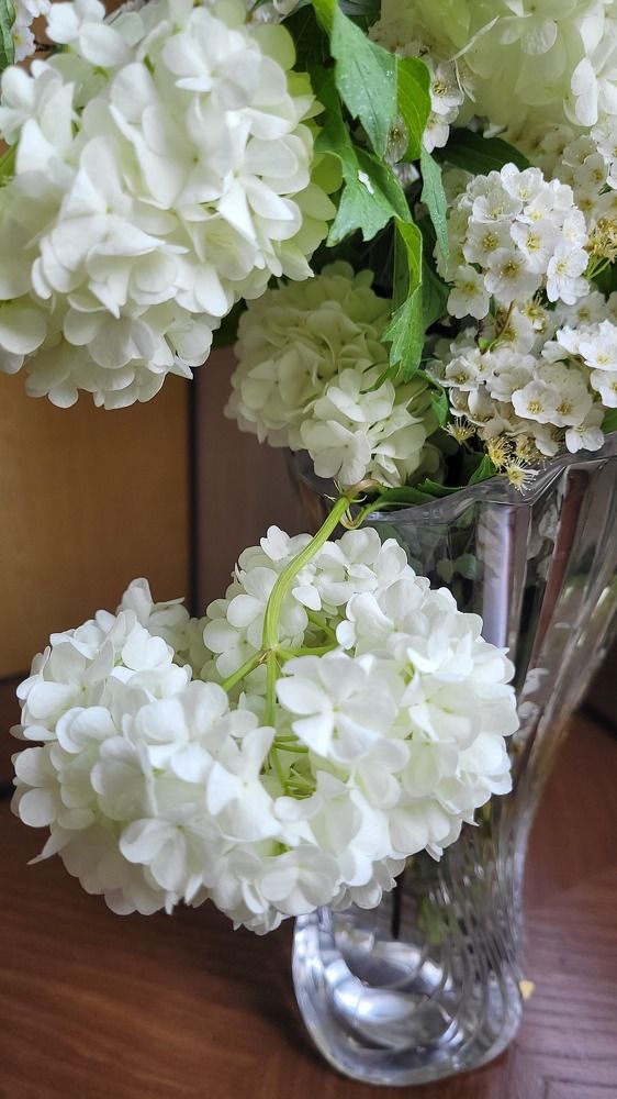 Photograph by Rahele Almassi