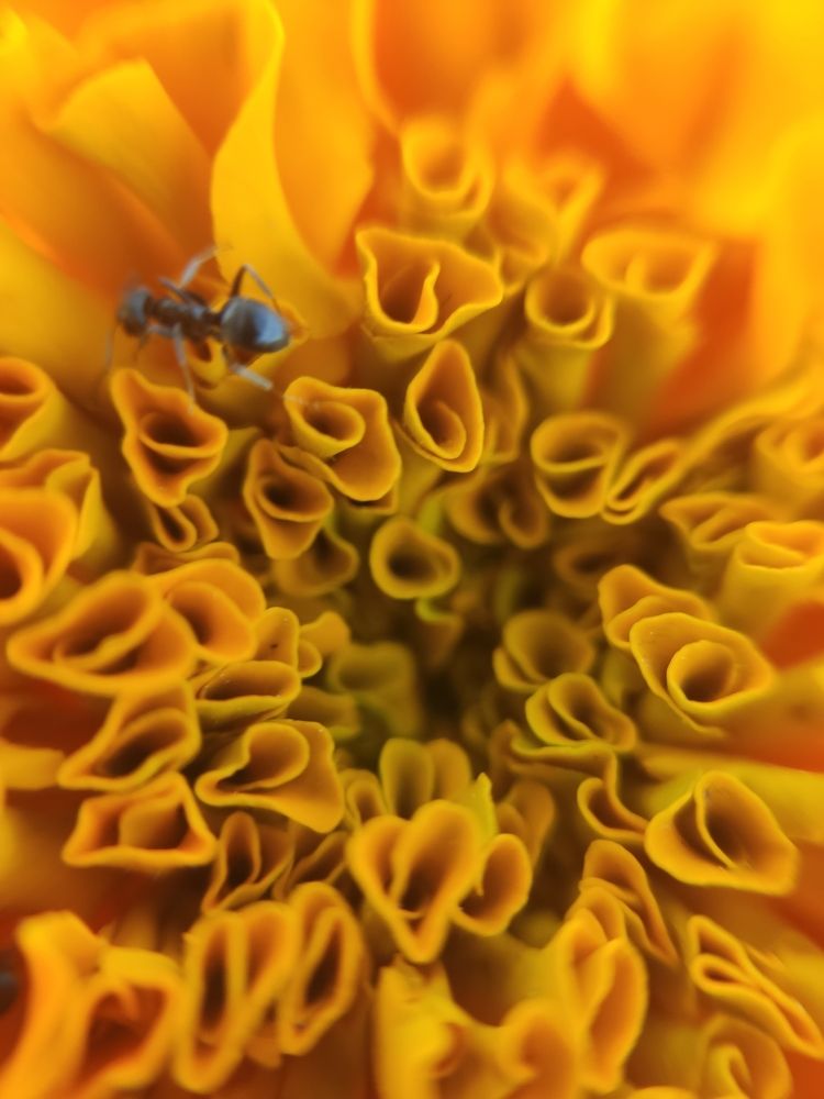 Photograph by Сидорова Ирина