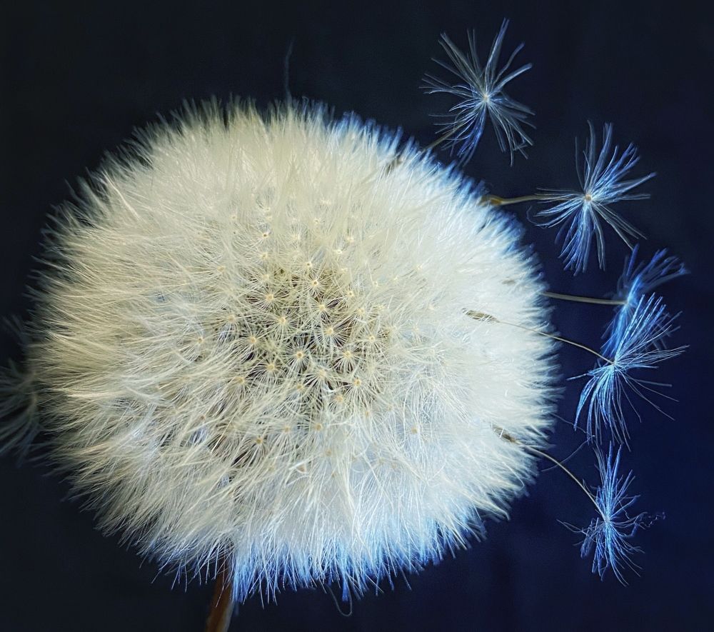 Фотография автора Evgeniya Ivanova