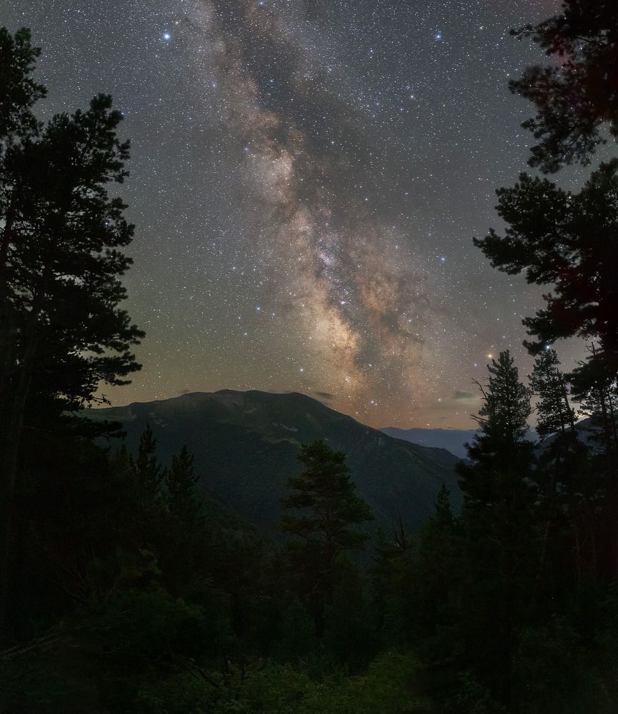 Night in the Fairy Forest