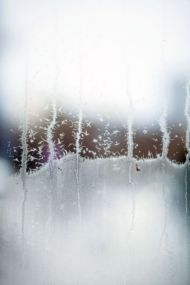 Photograph by Светлана Кавказская