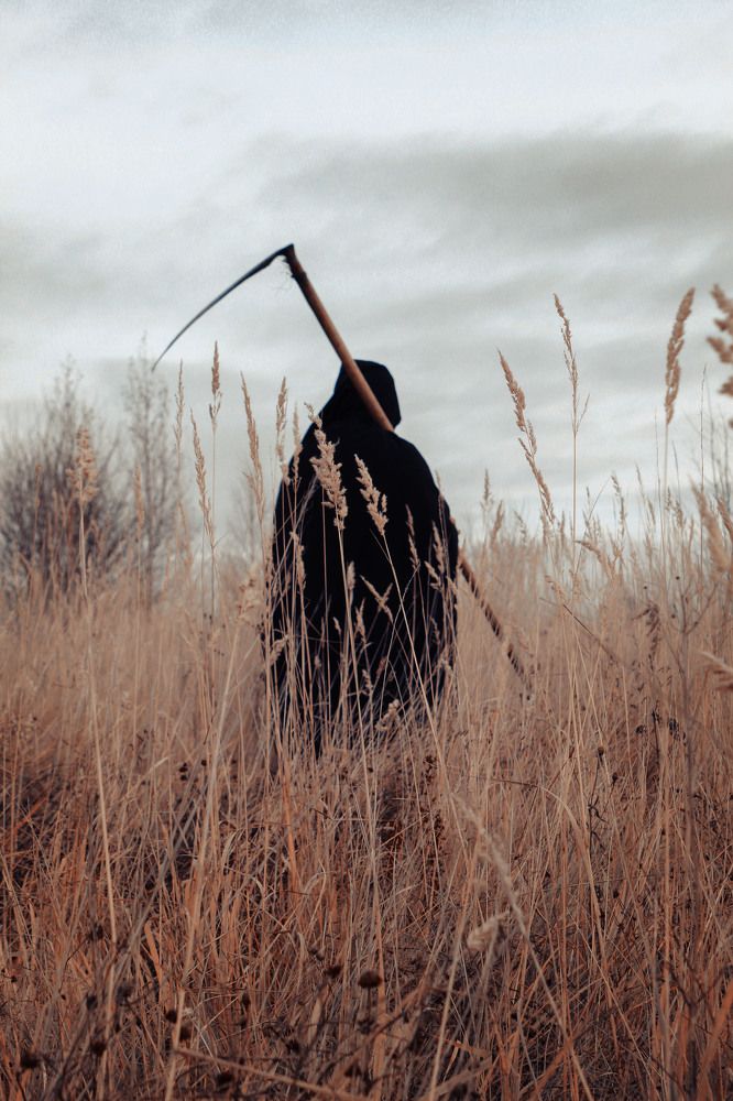 Photograph by Елена Сиднина