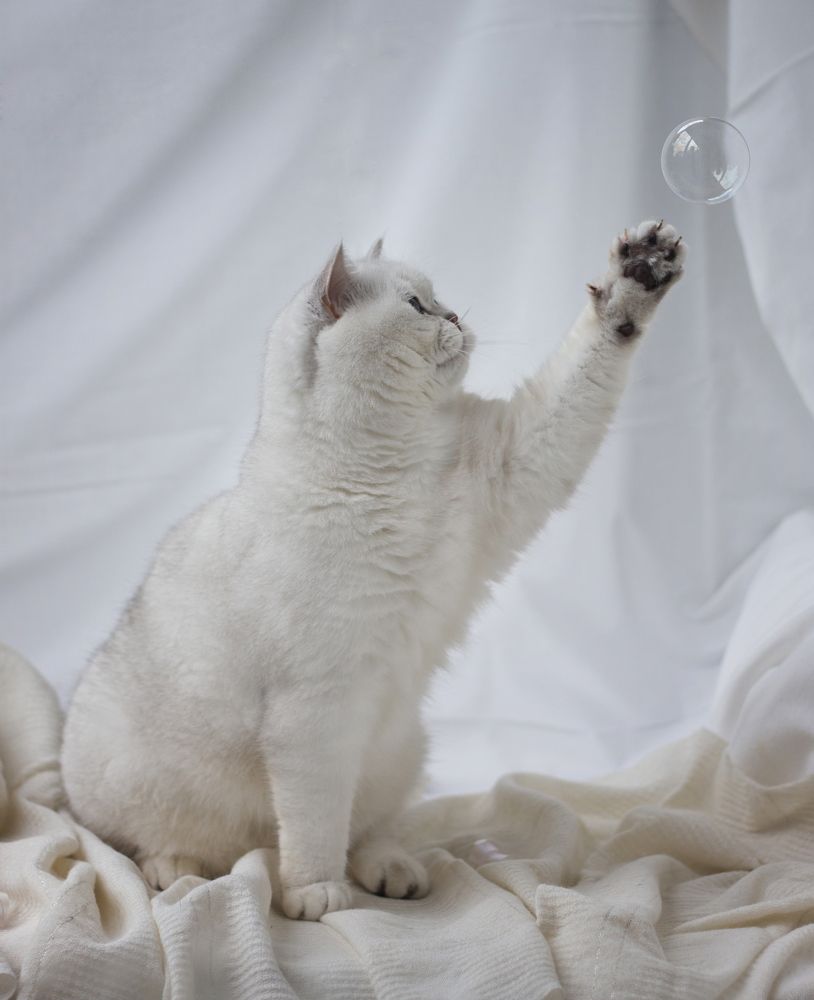 Photograph by Елена Иванова