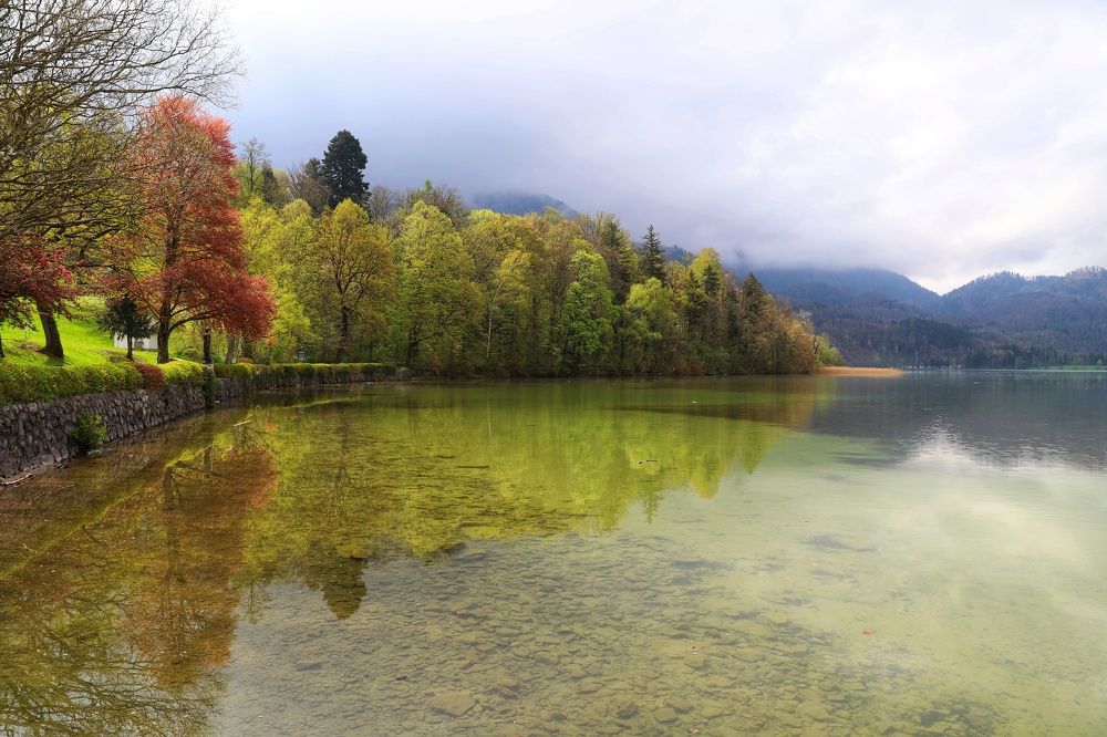 Фотография автора ANNA ILICHEVA