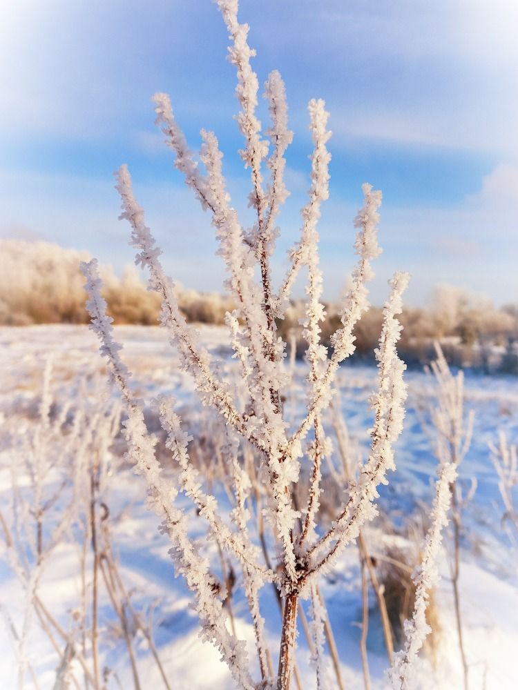 Photograph by Екатерина Морозова