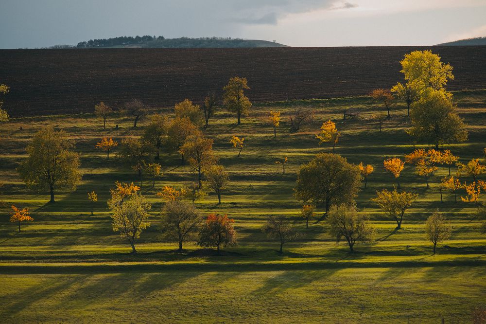 Photograph by Maxim Cristalov
