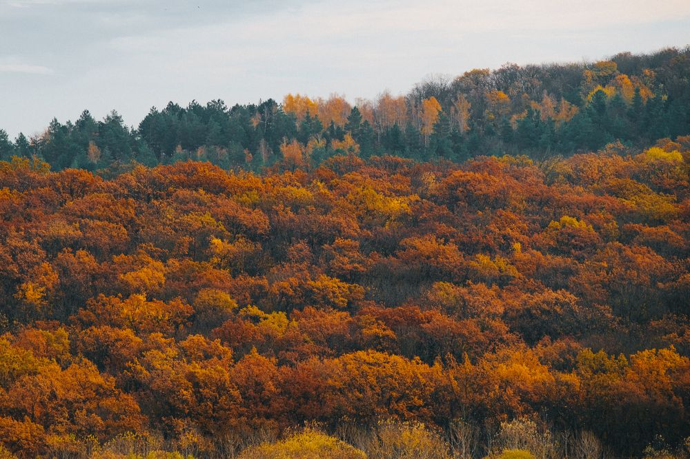 Photograph by Maxim Cristalov