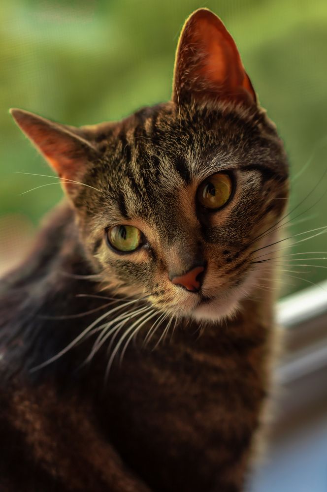 Photograph by Виктория Павлюк