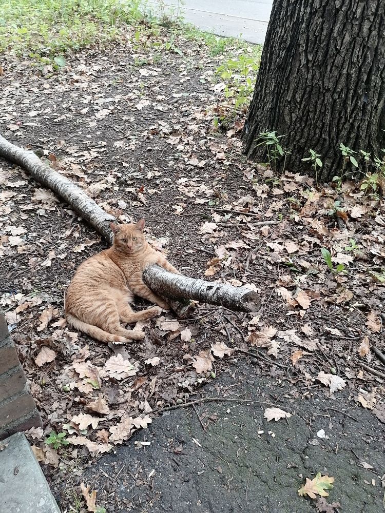 Photograph by Елена Степанкина