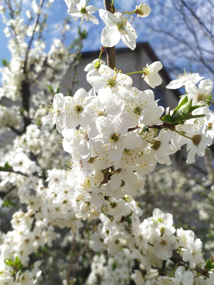 Photograph by Усевалад Куліш