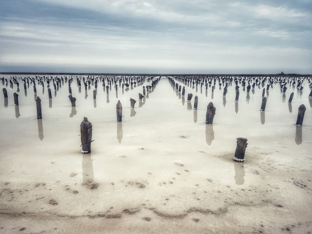 Фотография автора Ольга Белоусова