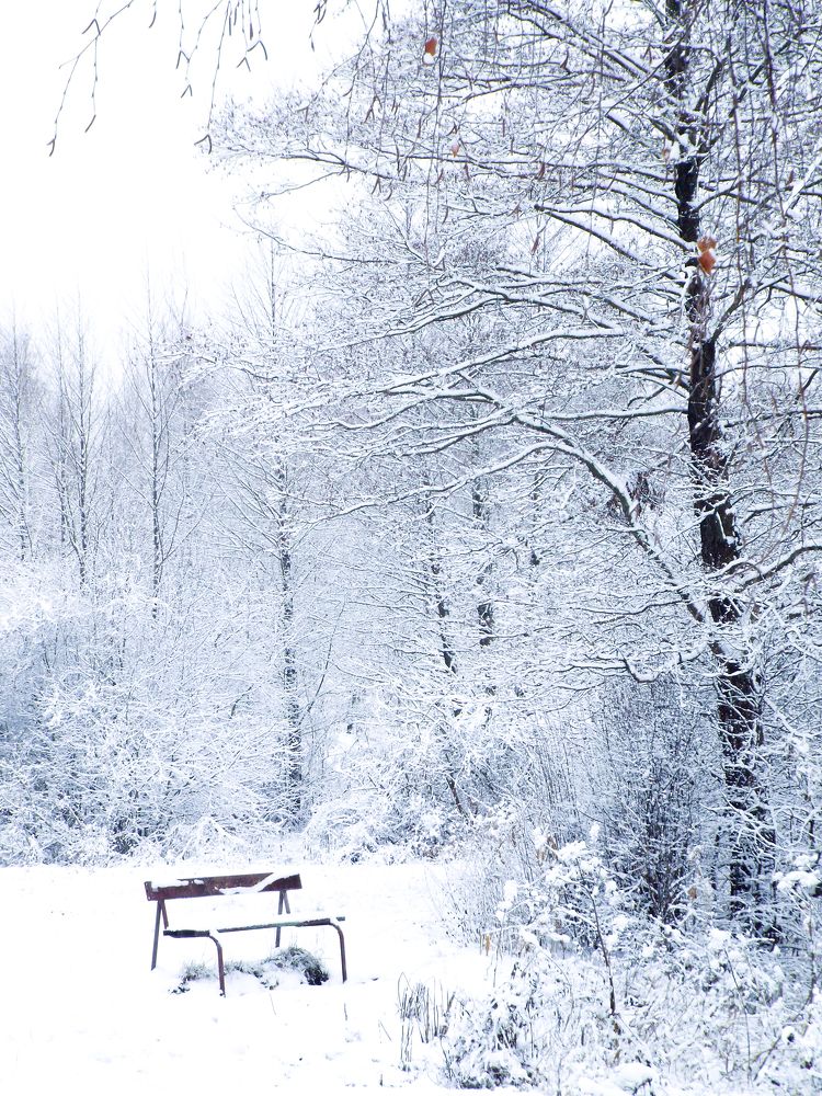 Одиночество