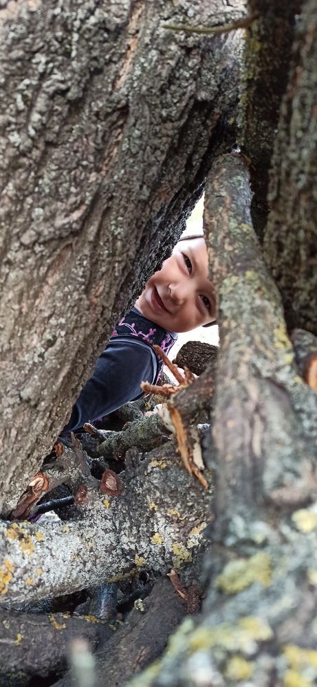 Photograph by Виорика Фоменко