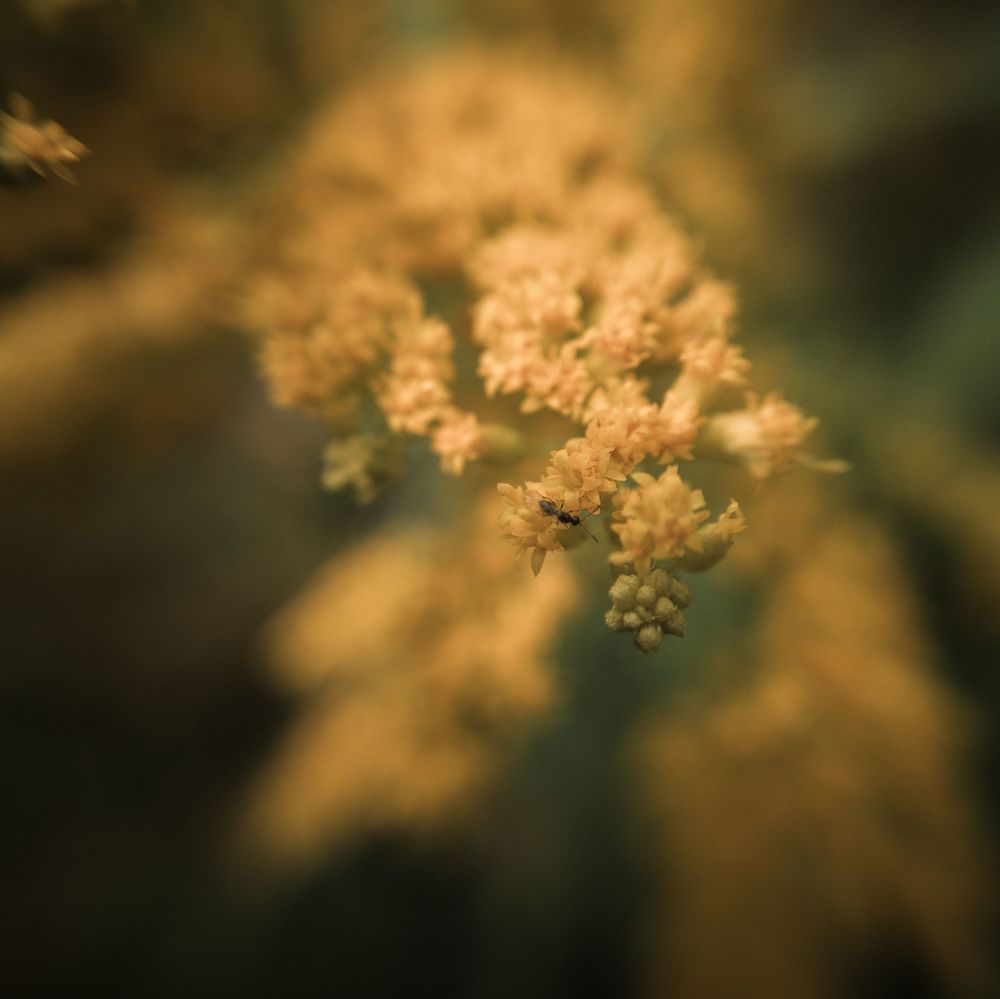 Photograph by Усевалад Куліш