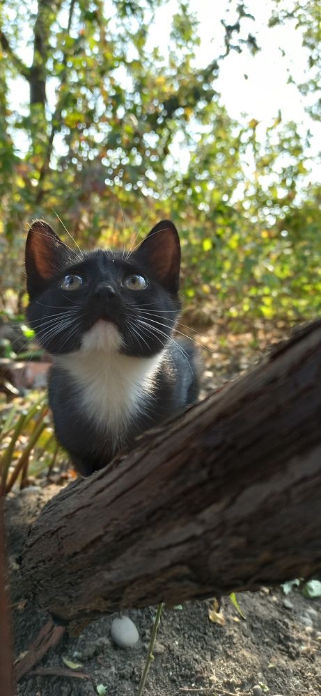 Photograph by Виорика Фоменко