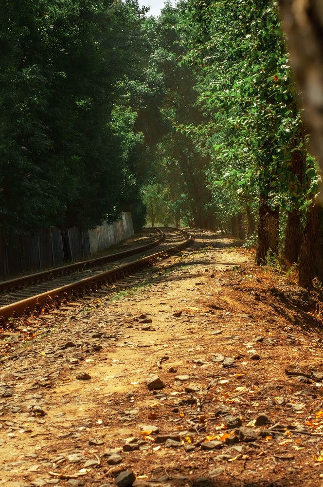 Photograph by Виктория Павлюк