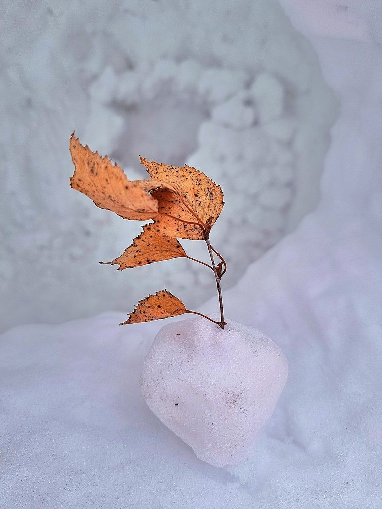 Photograph by Ангелина Шикина