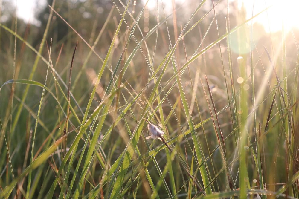 Фотография автора Анастасия Богдан