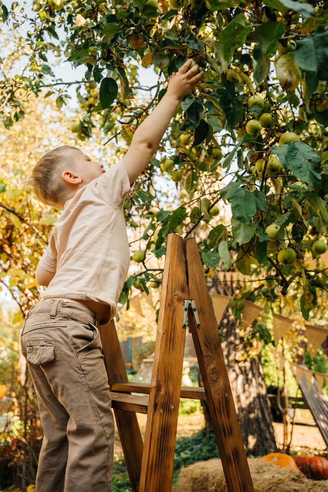 Photograph by Илья Стефанов