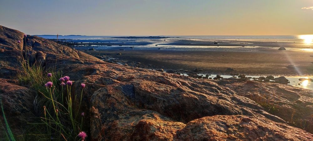 Photograph by Анна Якимова