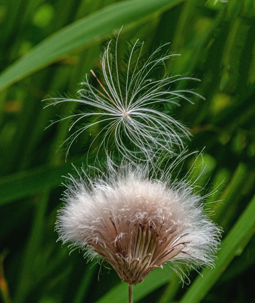 Photograph by Vladimir  Komarov