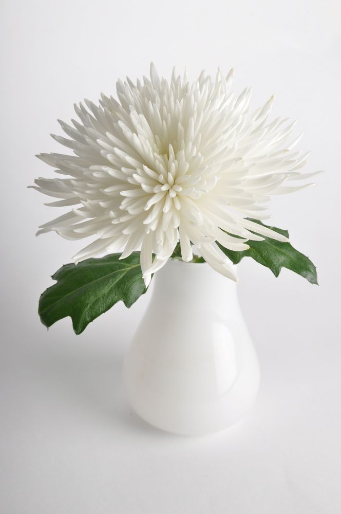 Photograph by Светлана Виденькина