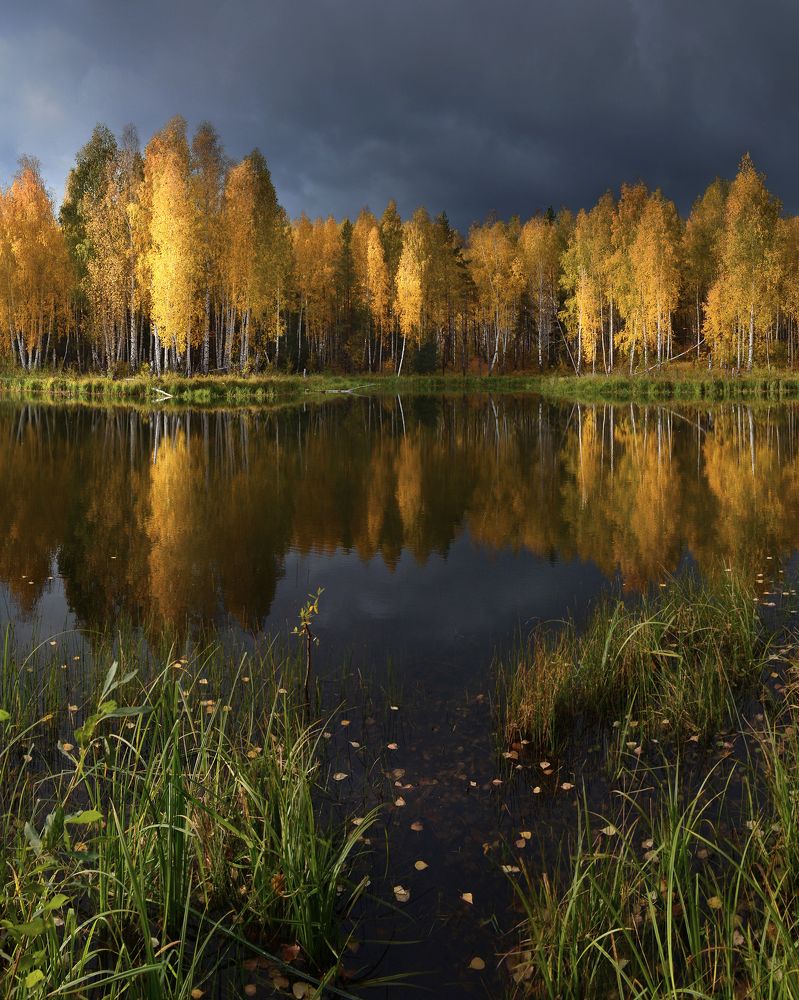 Photograph by  Arina Shapronova