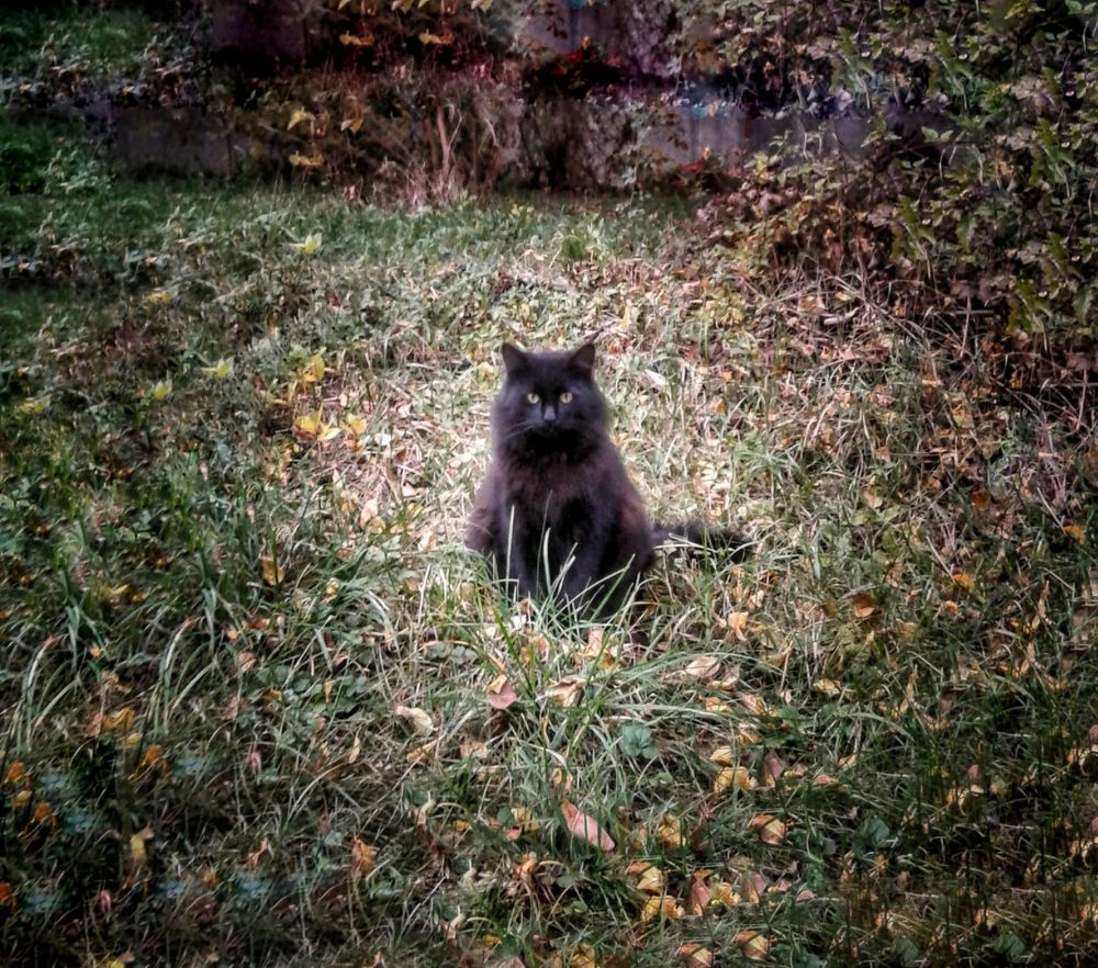 Photograph by Назифе Идилли Озкол