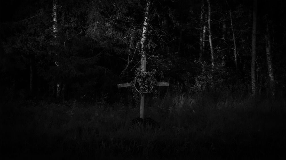 Photograph by Никита Губанов