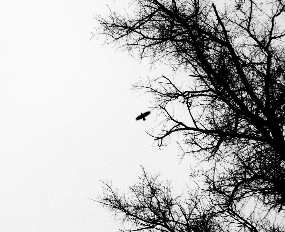 Photograph by Никита Губанов