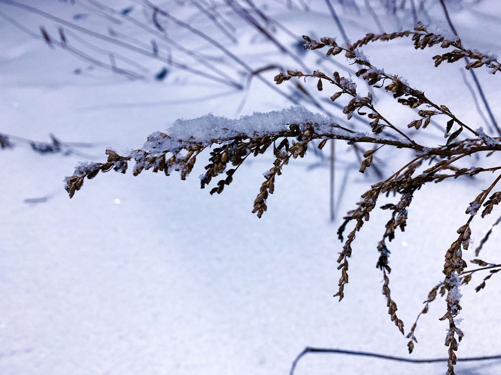 Photograph by Nakiato